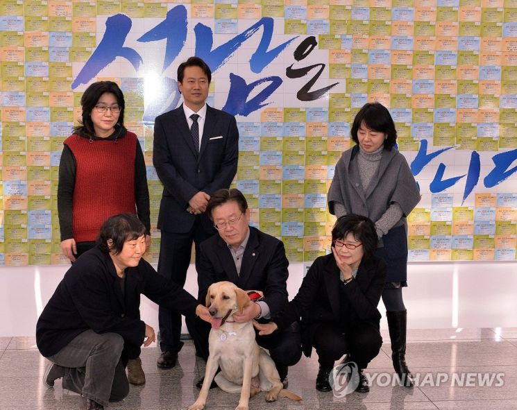 지난 2014년 성남시가 입양한 유기견 행복이. 당시 행복이는 '안전 파수꾼' 겸 '유기견 입양 홍보도우미'로 나섰다. / 사진=연합뉴스
