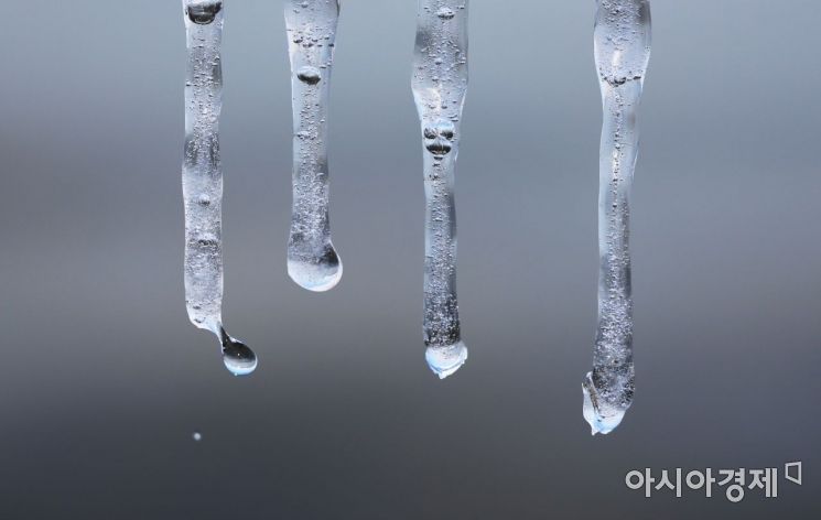 서울 낮기온이 영상을 회복하며 추위가 누그러진 24일 서울 여의도 한강공원 강변에 얼어 있던 고드름이 녹으며 물방울이 떨어지고 있다./윤동주 기자 doso7@