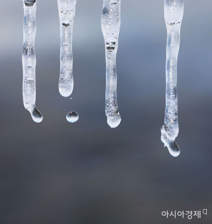 서울 낮기온이 영상을 회복하며 추위가 누그러진 24일 서울 여의도 한강공원 강변에 얼어 있던 고드름이 녹으며 물방울이 떨어지고 있다./윤동주 기자 doso7@
