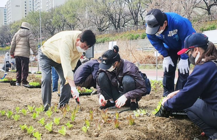 유덕열 동대문구청장(왼쪽 첫번째)가 중랑천 도시농업체험학습장에서 구민들이 모종을 심고 있다.