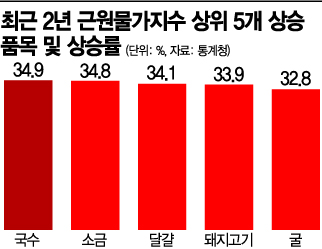 [민생 덮친 인플레]4개 중 3개 물가 '껑충'…61개는 10% 이상 올라