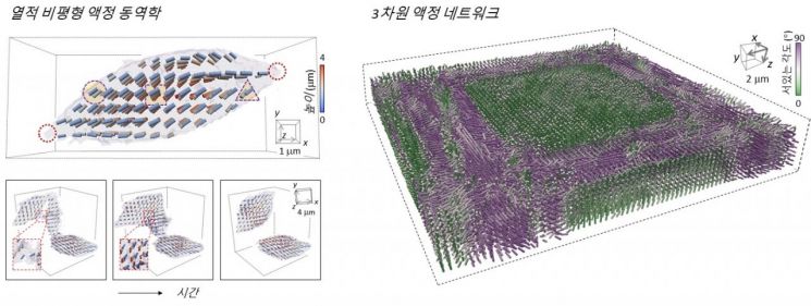 개발된 방법으로 측정된 액정 동역학, 액정 네트워크. 그림 제공=카이스트.
