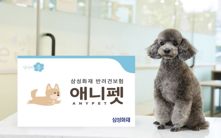 Average Monthly Pet Care Cost 150,000 KRW... Growing Interest in Samsung Fire & Marine Pet Insurance