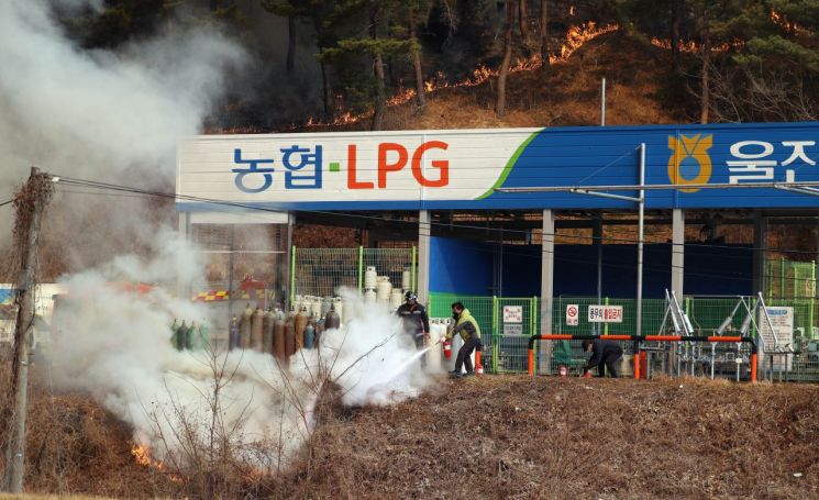 5일 오후 경북 울진군 연지리의 한 LPG 가스 충전소 뒤에 산불이 번진 가운데 LPG 가스통이 쌓인 곳으로 불길이 번지자 직원들과 소방관계자들이 긴급 진화를 하고 있다. [이미지출처=연합뉴스]