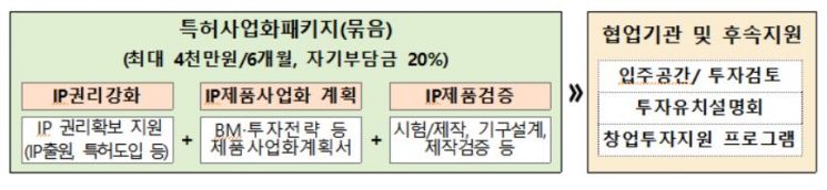 시니어 특허기반 기술창업지원 사업 체계도. 특허청 제공