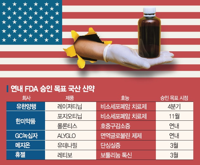 美 FDA 러시하는 국내 신약들… 연내 승인 노린다