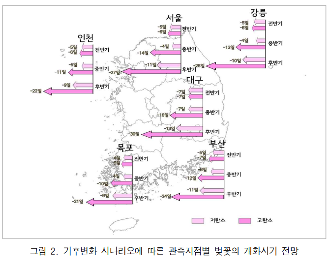 온실가스 안 줄이면 60년 후 봄꽃 2월에 핀다