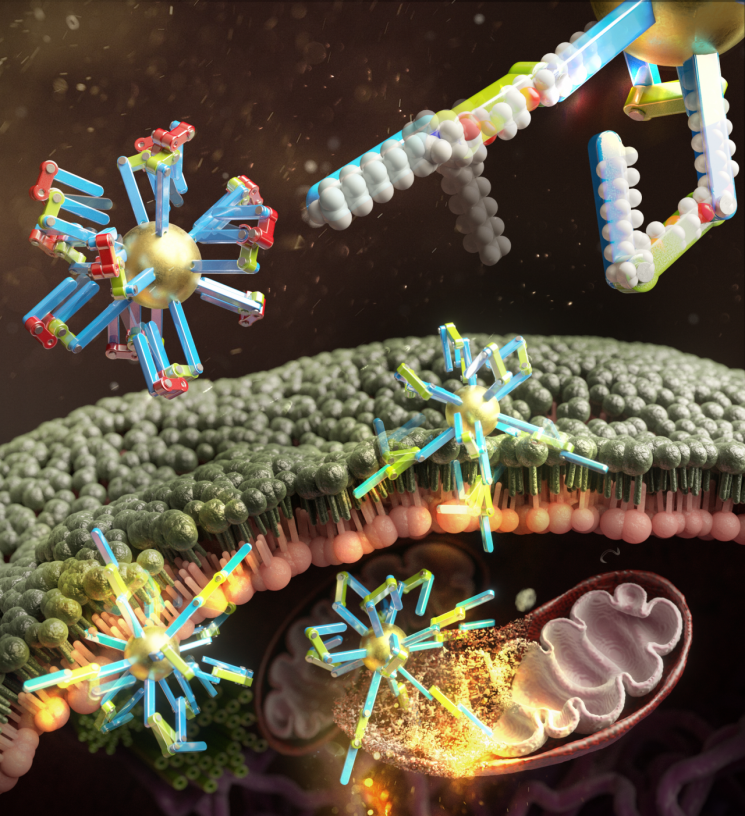 KIST 연구팀이 개발한 암세포 꿰뚫어 죽이는 나노머신의 개념도. 사진 출처 = Journal of the American Chemical Society.