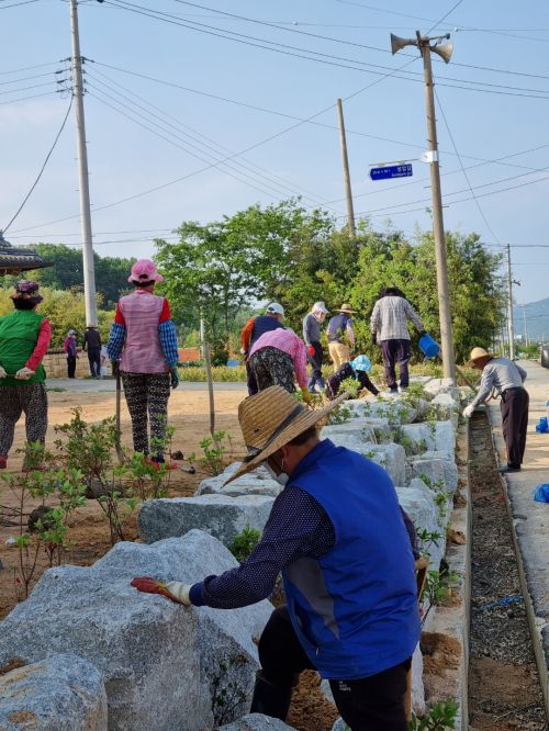 지난해 청정전남 으뜸마을에 선정된 성암마을 주민들이 마을 정화활동을 하고 있다.  사진자료=함평군