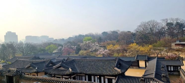 봄꽃 개화, 봄나들이 명소는 어디?