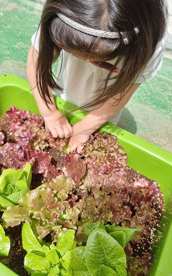 “우리 환경시계 몇 시?”…송파구 ‘물의 날’ 기념 캠페인