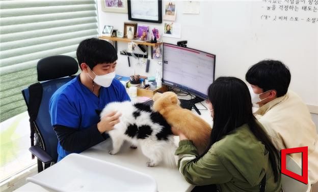 경기도, 1인 가구·사회적 배려계층 '반려동물 의료비·장례비 지원'