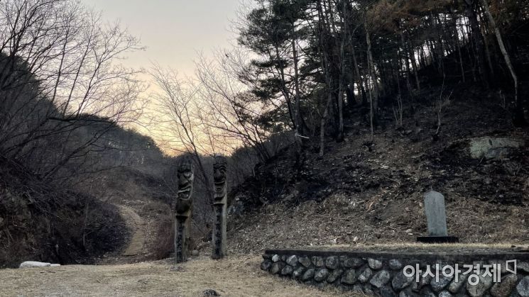 경북 울진군 금강송면 금강소나무숲길 1구간 보부상길 초입의 모습. 산을 덮친 화재의 흔적이 곳곳에 남아있다. 사진 = 김희윤 기자