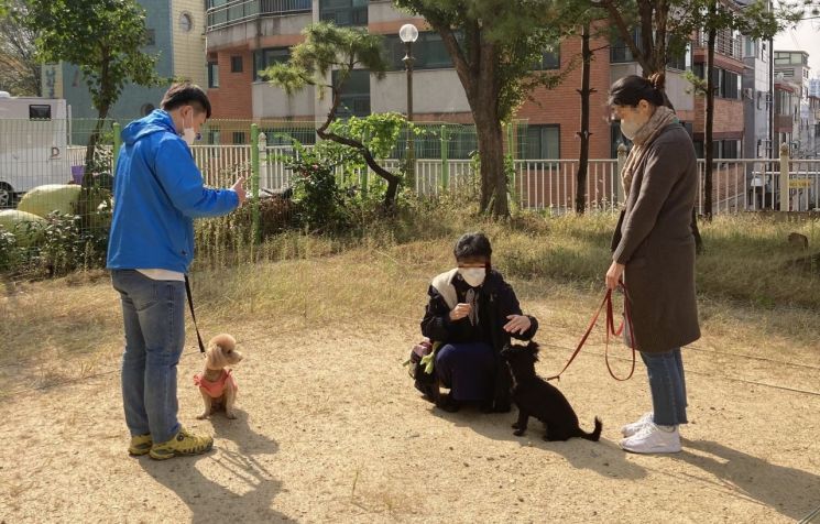 양천구 목동아파트· 신월 시영아파트 재건축 활기 띄나?