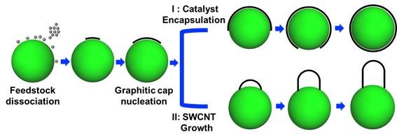 탄소나노튜브는 왜 튜브 형태로 자랄까? … ‘UNIST, 펑 딩 교수팀’ 30년 만에 규명