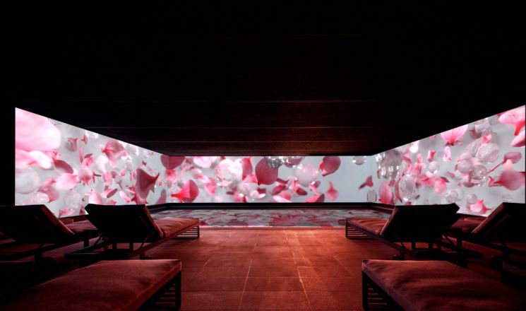 "봄꽃과 함께 스파를" 파라다이스호텔·리조트, 프로모션 시작