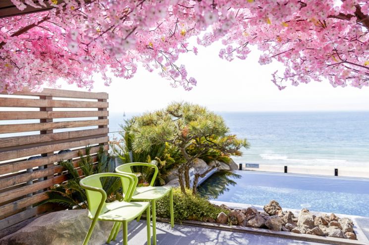 "봄꽃과 함께 스파를" 파라다이스호텔·리조트, 프로모션 시작