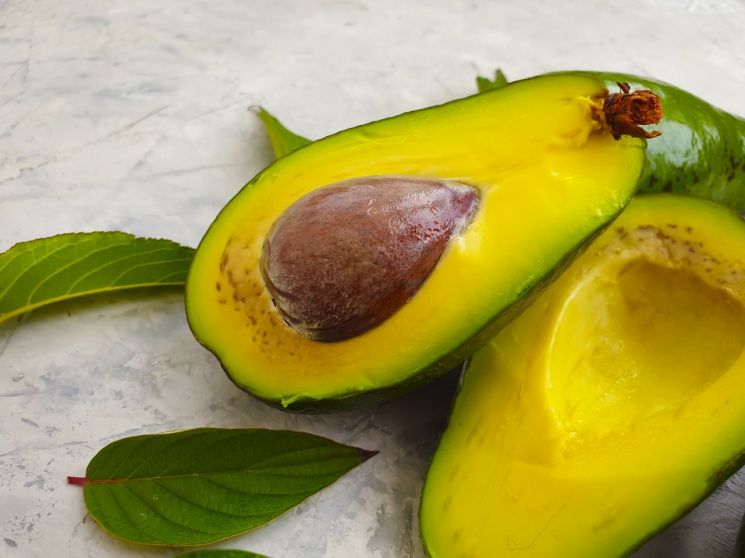 아보카도, 일주일에 한 번만 먹어도 심장병 위험 최고 20% 낮춰