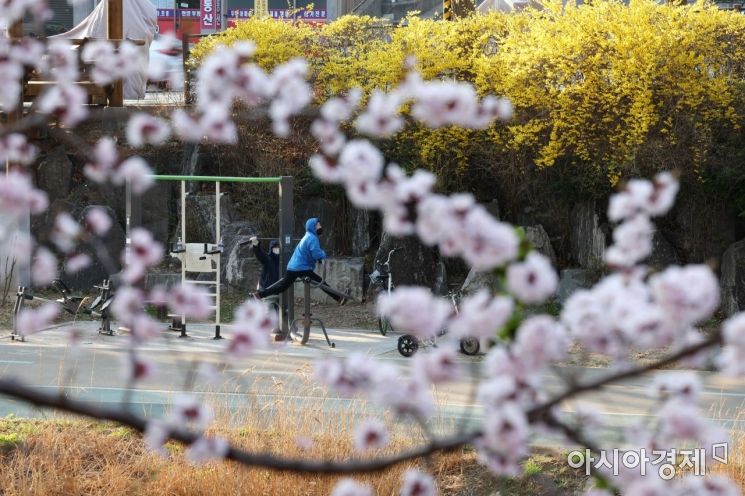 [포토]봄 향기 가득한 홍제천 