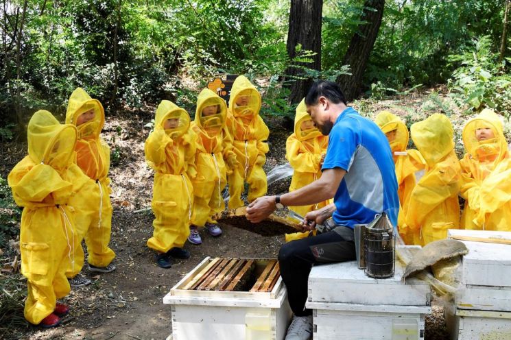 도시양봉 꿀벌학교 신청 접수... 광진구민과 함께하는 녹지 사업 풍성