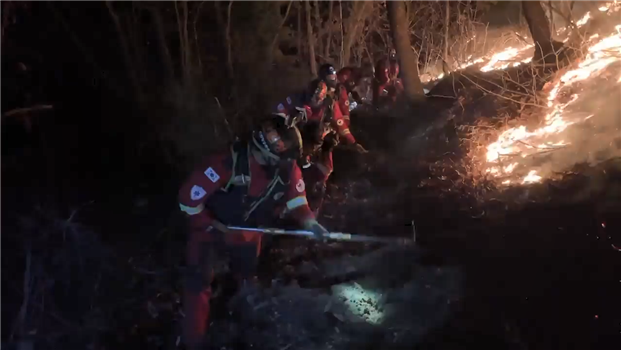 경북 봉화 산불 ‘진화율 90%’…산림 120㏊ 소실 추정