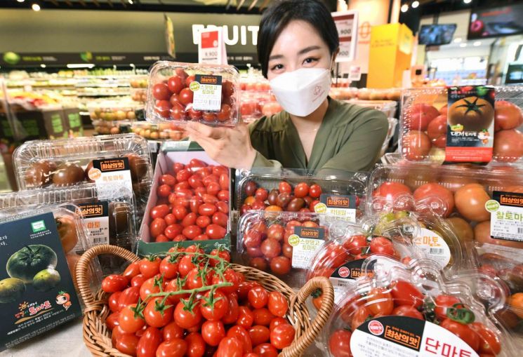 모델이 6일 서울 강서구 등촌동 홈플러스 강서점에서 토마토 페스티벌 행사 상품을 선보이고 있다.