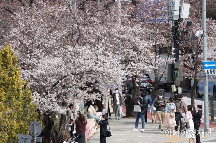 [포토]여의도 벚꽃 즐기는 시민들 