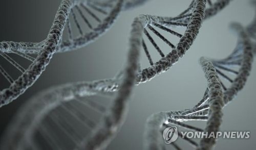 유전자는 인간이 복용하는 약효에도 영향을 미칠 수 있다. / 사진=연합뉴스
