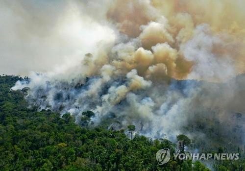 '지구의 허파'가 사라진다…아마존 열대우림, 서울 면적 1.5배 파괴