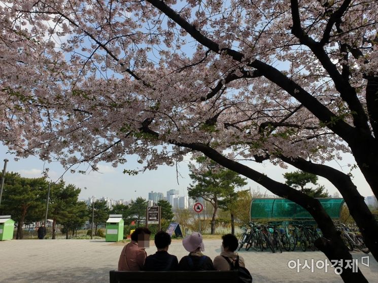11일 오전 서울 여의도 한강공원 인근에서 시민들이 쉬고 있다. 사진=허미담 기자 damdam@