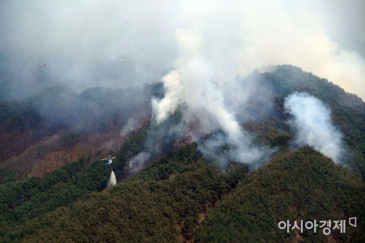 양구 산불 75% 진화… 산림·소방 당국, 일몰 전 '주불 진화' 총력
