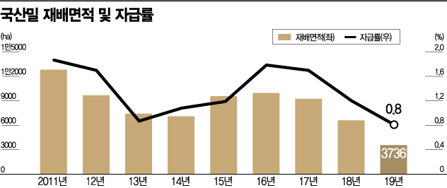 [공기UP, 현장에서]K-밀 차별화 품종 개발로 '식량안보' 지킨다