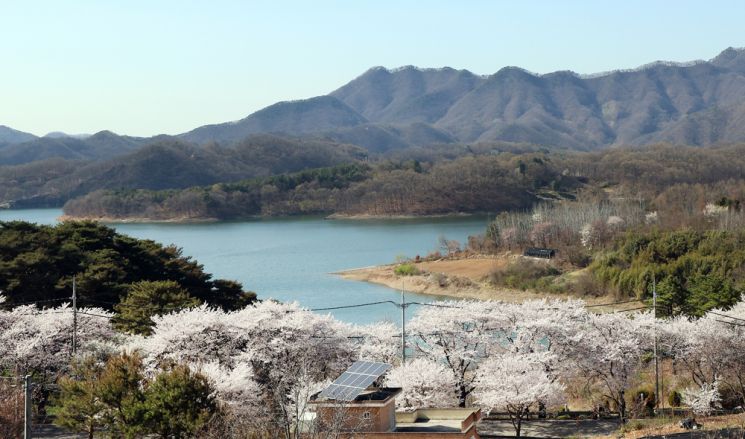 [조용준의 여행만리]부소담악 병풍바위 사이로 지즐대는 봄향기‥꿈엔들 잊힐리야