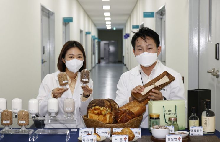 농촌진흥청 국립식량과학원 '밀 연구동'에서 연구진이 국산밀 품종 '오프리'와 '아리흑' 등을 소개하고 있다. 오프리는 세계 최초로 밀 알레르기 저감 효과가 확인된 품종으로, 미국과 중국 등에 국제특허 등록에 성공했다. (사진제공=농촌진흥청)