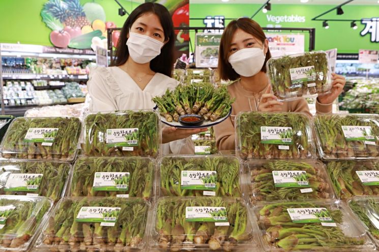 “제철 봄나물 즐기세요”…롯데마트, 참두릅·엄나무순 행사