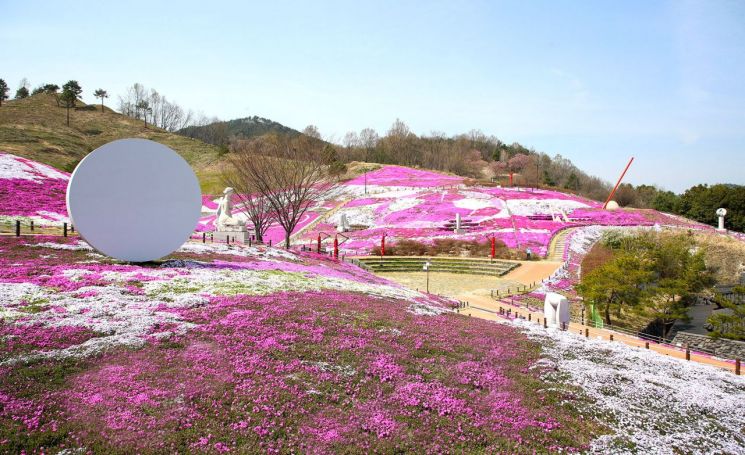 경남 산청군 생초국제조각공원 꽃잔디.
