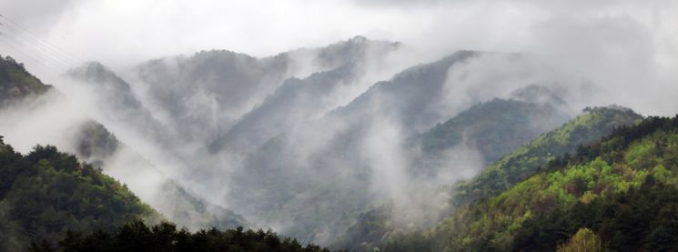 무릉도원이 따로없다. 비가 내리는 두타산과 백두대간 마루금을 따라 구름이 수시로 넘나들며 환상적인 풍경을 연출하고 있다.