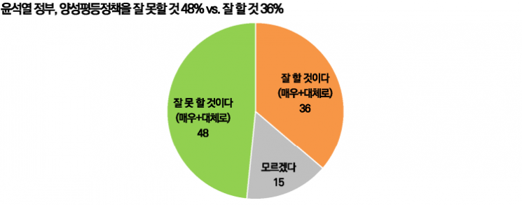 '젠더갈등 심각' 71%…새 정부 성평등 정책 잘 못할 것 48%
