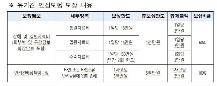 "사지 말고 입양하세요" 서울시, 유기동물 입양시 교육·동물보험 지원