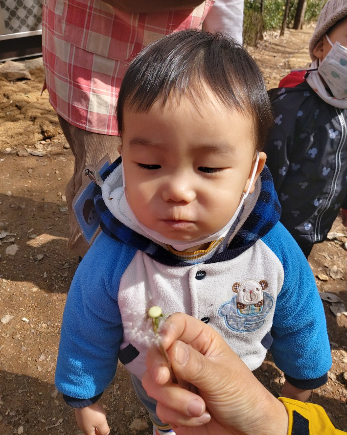 3월 숲 체험에 참여한 어린이가 민들레 씨앗을 불고 있다