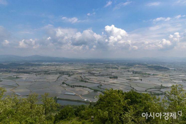 철원 소이산 생태숲 녹색길 [철원군]