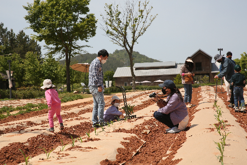 매일유업 상하농원에서 '어린이마을' 행사가 진행되고 있다.