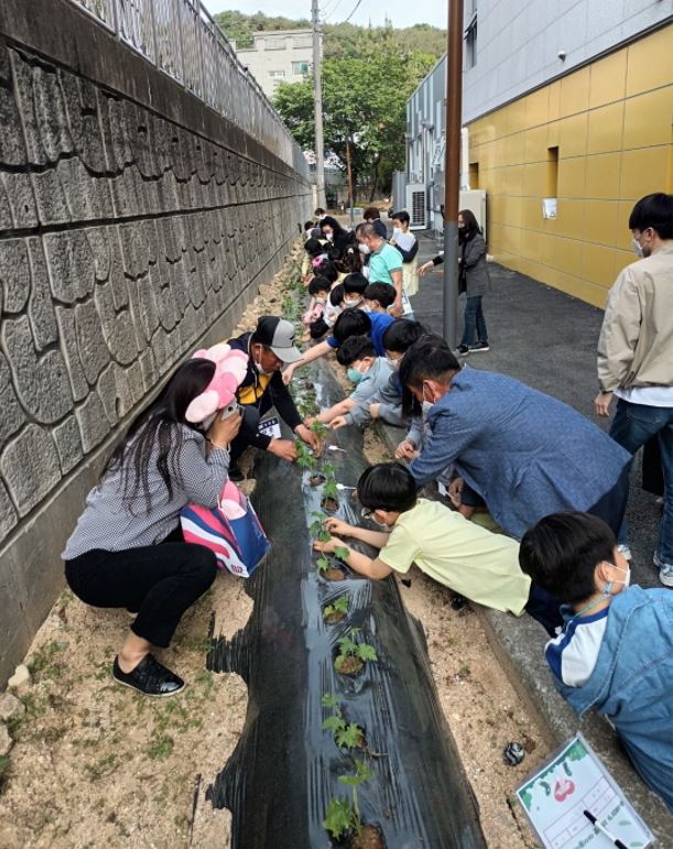 부산 기장군 정관읍 아이들이 유휴공간에 수세미를 심고 있다.