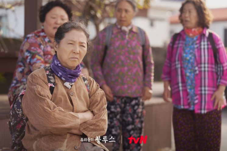 tvN 우리들의 블루스 춘희 삼춘과 해녀들 / 사진=tvN '우리들의 블루스' 공식 홈페이지 캡처