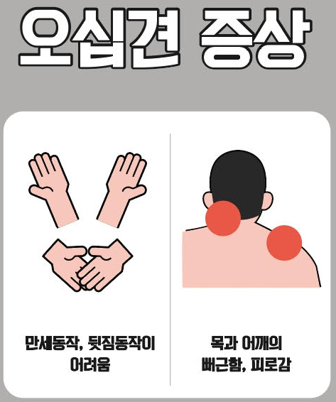 팔 들어올리는 데 아프다면… '오십견' 의심하세요