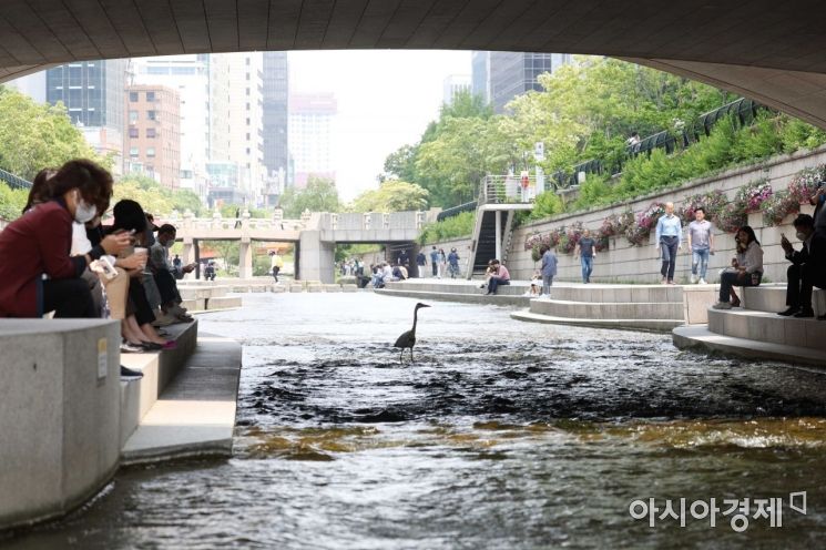 [하루만보 하루천자]서울시민이 사랑하는 산책로·한강공원은 어디?
