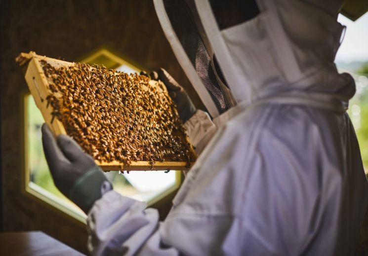 한화가 만든 솔라 비하이브를 살펴보는 모습. 꿀벌의 천적인 말벌의 침입을 막는가 하면 꿀벌의 생육 상태를 실시간으로 점검하고 태양광으로 전력을 제어하는 스마트 시스템을 갖춘 장치다.(사진제공=한화)