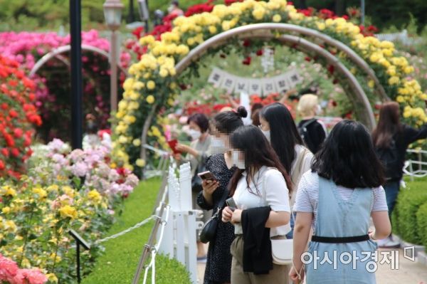 코로나19 여파로 3년만에 재개방된 조선대학교 장미원에서 시민들이 힐링의 시간을 보내고 있다.