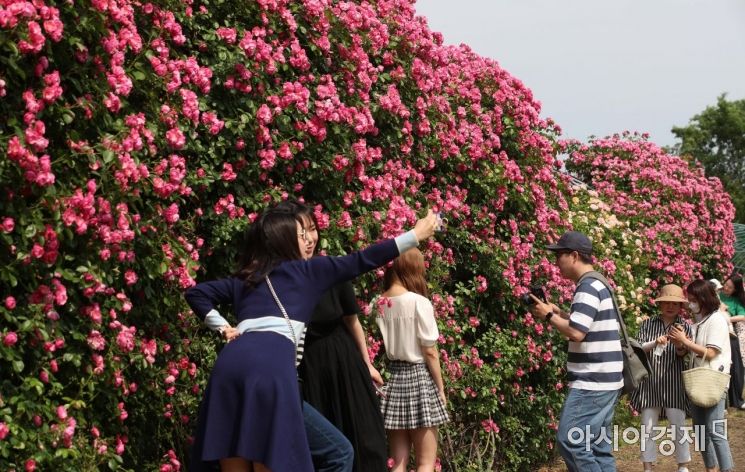 지난해 5월 서울 양화한강공원 장미정원에서 시민들이 나들이를 즐기고 있다./김현민 기자 kimhyun81@