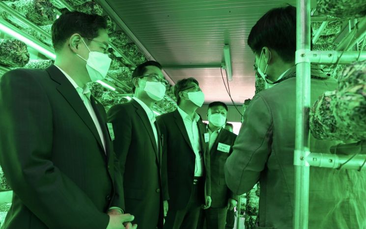 24일 개관한 부산 감만동 스마트팜 5호점에서 공공기관 대표들이 표고버섯 재배 시설을 둘러보고 있다.